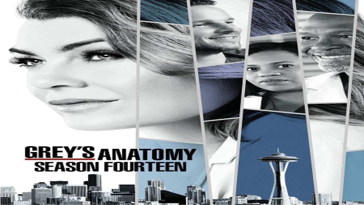 مسلسل Grey’s Anatomy الموسم الرابع عشر الحلقة 8 مترجمة كاملة HD